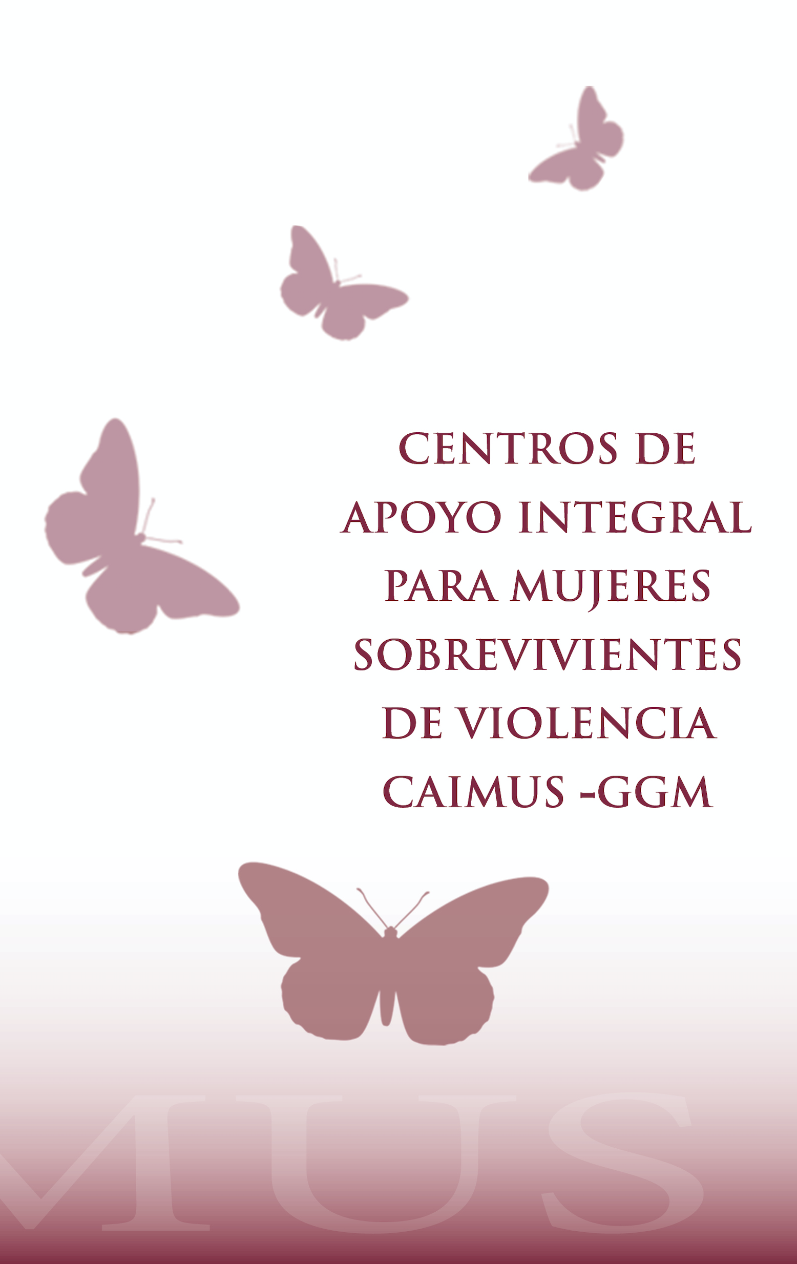 Portada de 4 mariposas con titulo en medio